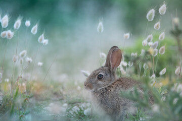 où est le nouveau monde?