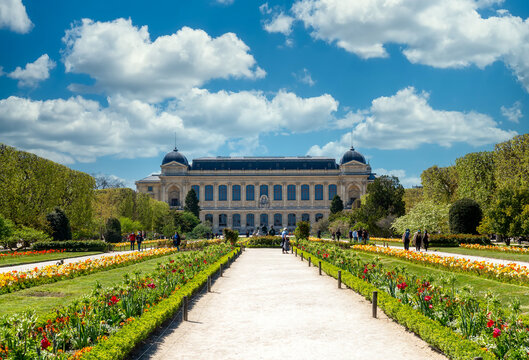 Parisians strolling in the Jardin des Plantes on a sunny spring day during the Covid-19 pandemic - Paris, France