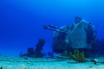 Poster Strenge kanonnen uit het gezonken wrak van het Russische fregat in Cayman Brac. Wat ooit een vernietigingsinstrument was, is nu de thuisbasis van rifvissen © drew