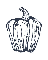 Bulgarian pepper isolated on white background. Vintage style. Flat vector. Eps 10