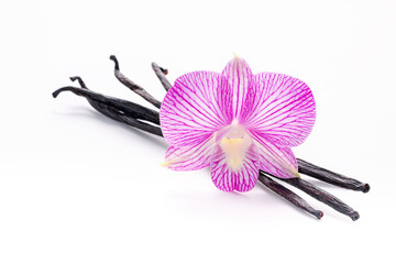 Dried vanilla sticks and orchid flower isolated on white background.