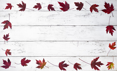autumn leaves frame flat lay on white background. Autumn background. Fall concept. Dried leaves on white background.