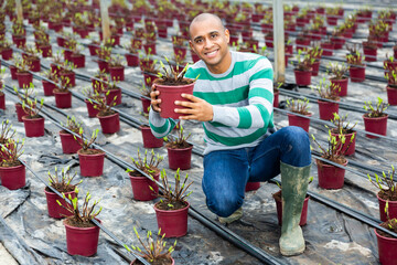 Man controlling quality of seedlings in his organic glasshouse plantation