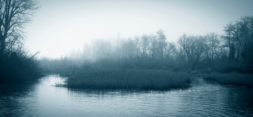 Wetland Area on a Foggy Morning in the Pacific Northwest. Atmospheric view of a small slough with reeds near the town of LaConner, Washington.