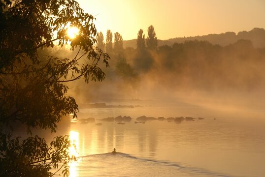 Fr&uuml;hnebel am Flussufer, Ruhrtal bei Hattingen