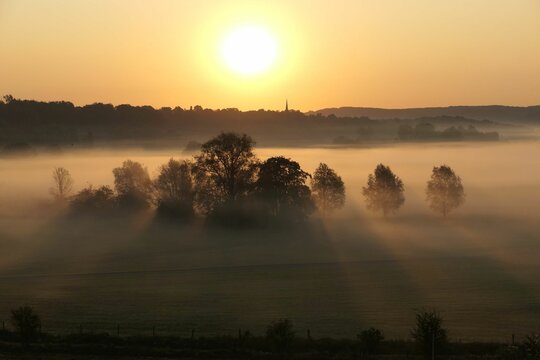 Sonnenaufgang &uuml;ber den Ruhrauen, Bochum-Stiepel