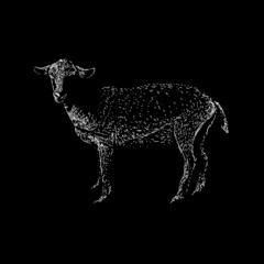 saanen goat hand drawing vector illustration isolated on black background