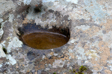 Brown Rock Puddle 02