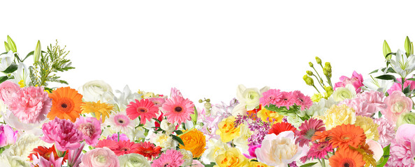 Beautiful fresh flowers on white background - Powered by Adobe