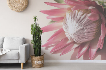 Stylish interior of room with sofa and beautiful protea flower on wall
