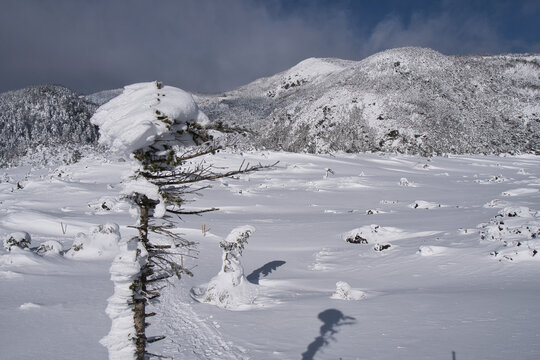 雪山 の画像 57 924 件の Stock 写真 ベクターおよびビデオ Adobe Stock