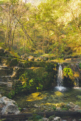 Obraz premium moss valley