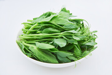 Dutch bean sprout vegetables on a white background
