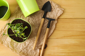 Flower pots and gardening tools on wooden background, closeup