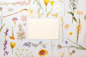 Composition with dried pressed flowers and envelope on light background