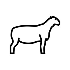 dorper sheep line icon vector. dorper sheep sign. isolated contour symbol black illustration