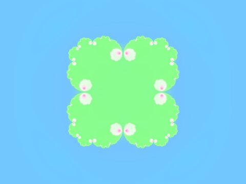 4次のジュリア集合
