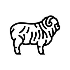 merino sheep line icon vector. merino sheep sign. isolated contour symbol black illustration