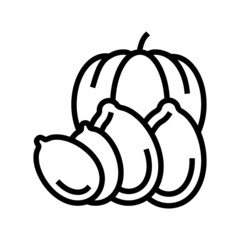 pumpkin nut line icon vector. pumpkin nut sign. isolated contour symbol black illustration