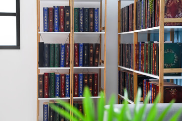 Modern shelf unit with books in home library