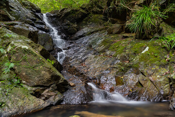 Obraz premium 奄美大島 龍郷町 じょうごの滝