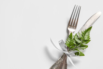 Stylish cutlery on white background
