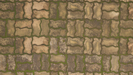 Brown Brick floor with moss-covered.