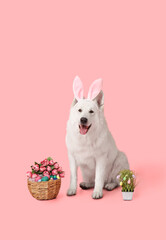 Fototapeta na wymiar Cute dog with bunny ears and Easter basket on color background