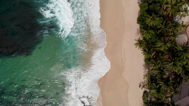 Vertical aerial view of Indian ocean waves and coast in Sri Lanka