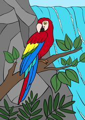 Cartoon birds. Parrot red macaw sits on the tree branch in frotn of the waterfall.