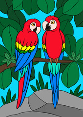 Cartoon birds. Two cute parrots red macaw sit on the tree branch.