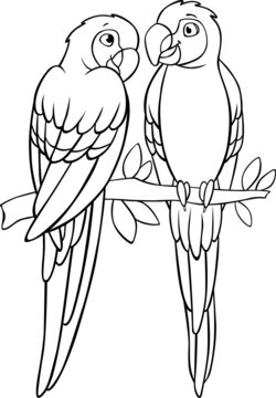 Coloring page. Two cute parrots red macaw sits and smiles. They are in love.