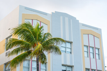 Closeup of typical colorful Art Deco architecture with tropical palm tree on Ocean Drive in South Beach, Miami, Florida, USA