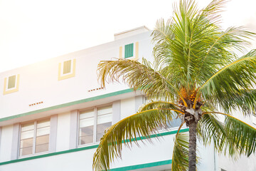 Fototapeta na wymiar Closeup of typical colorful Art Deco architecture with tropical palm tree on Ocean Drive in South Beach, Miami, Florida, USA