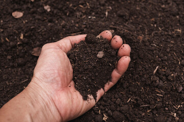 Closeup hand of person holding abundance soil for agriculture or planting peach concept.