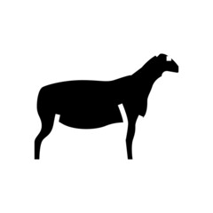 dorper sheep glyph icon vector. dorper sheep sign. isolated contour symbol black illustration