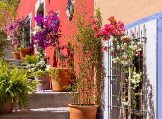 Fototapeta na wymiar Durango, Victoria de Durango colonial and colorful historic city center near central Plaza de Armas and Cathedral Basilica.