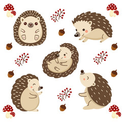 Set of cute  hedgehog cartoon in various poses.