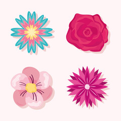 set of colored flowers