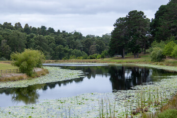 Landscape with a meadow, a river and a farm dam with water lilies