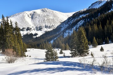 snow covered mountains