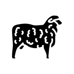 corriedale sheep glyph icon vector. corriedale sheep sign. isolated contour symbol black illustration