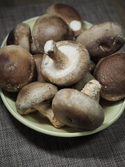 신선한 유기농 채소 표고버섯