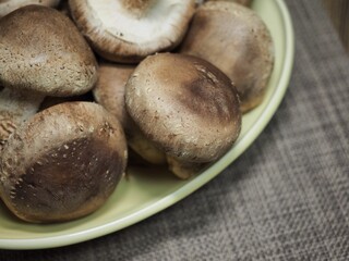 신선한 유기농 채소 표고버섯