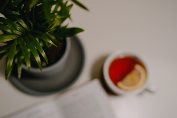 a cup of tea and a potted plant