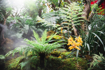 Flowers in a bright green garden Beautiful garden decoration design