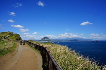 Obraz premium fascinating walkway at a seaside cliff