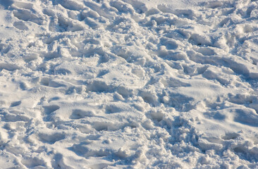 Obraz premium many footprints on the snow