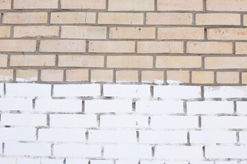 Fototapeta premium Brick wall