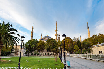 Obraz premium Blue Mosque, Sultan Ahmet Mosque, at dawn. The view of architecture, garden and facade in old town, Istanbul, Turkey 